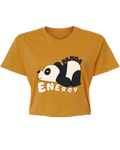 Panda Energy