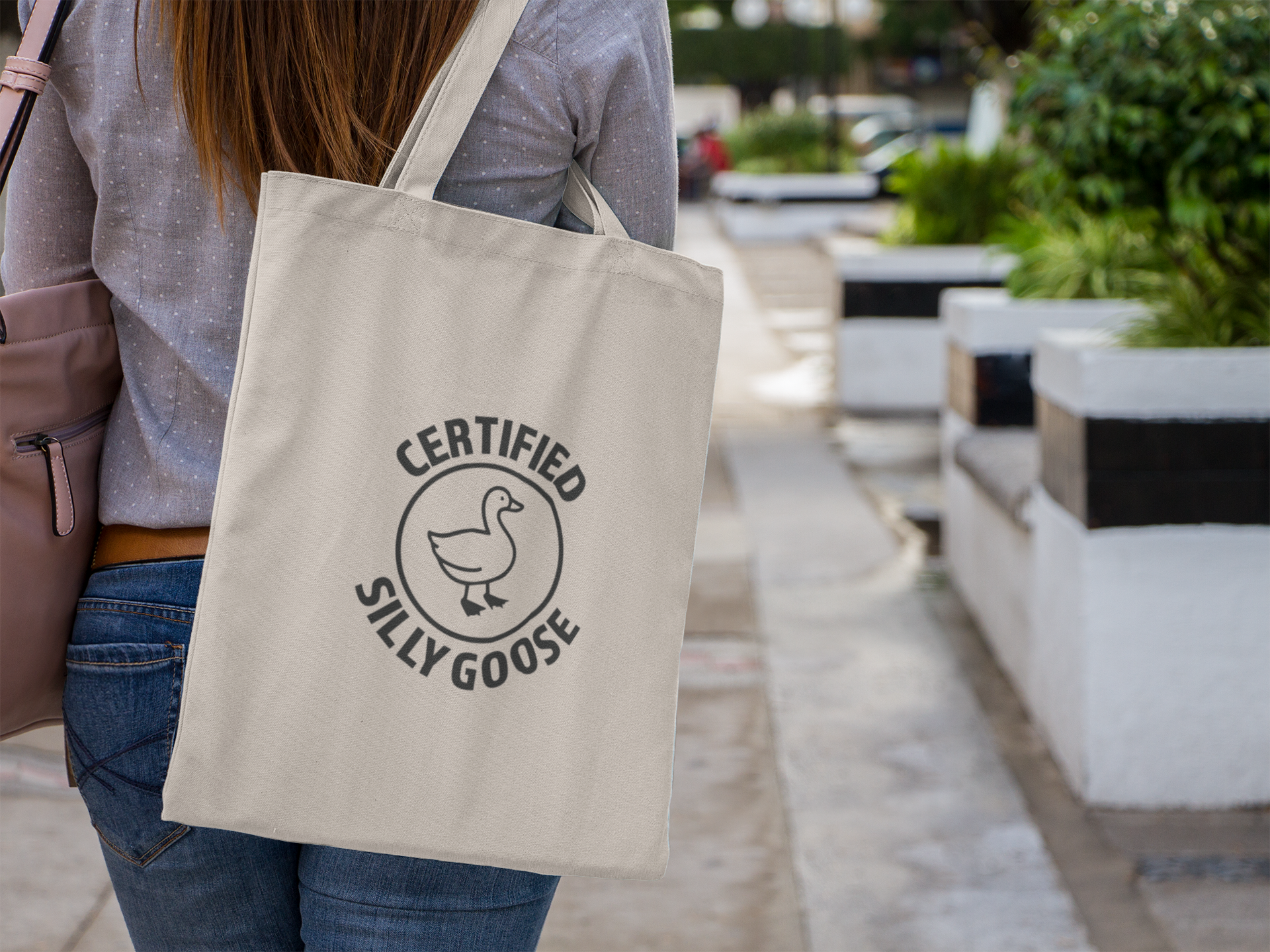 Certified Silly Goose