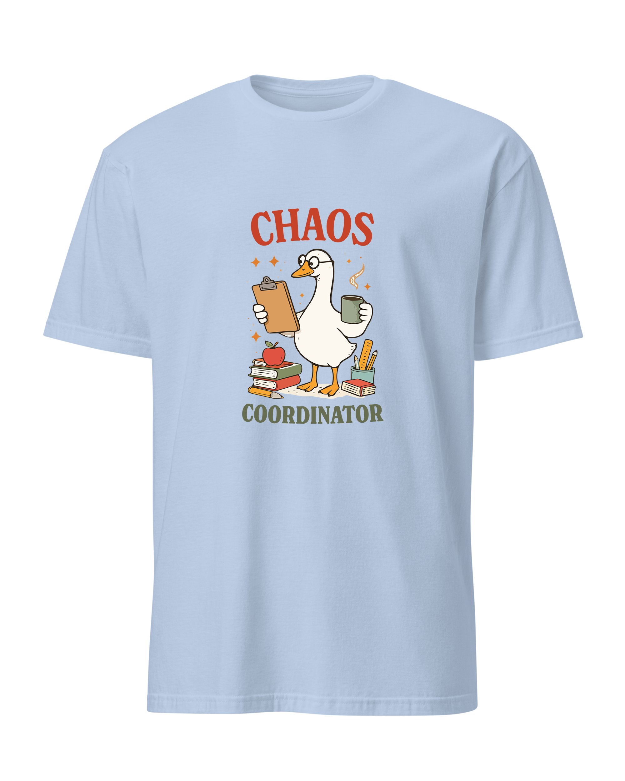 Chaos Coordinator Teacher