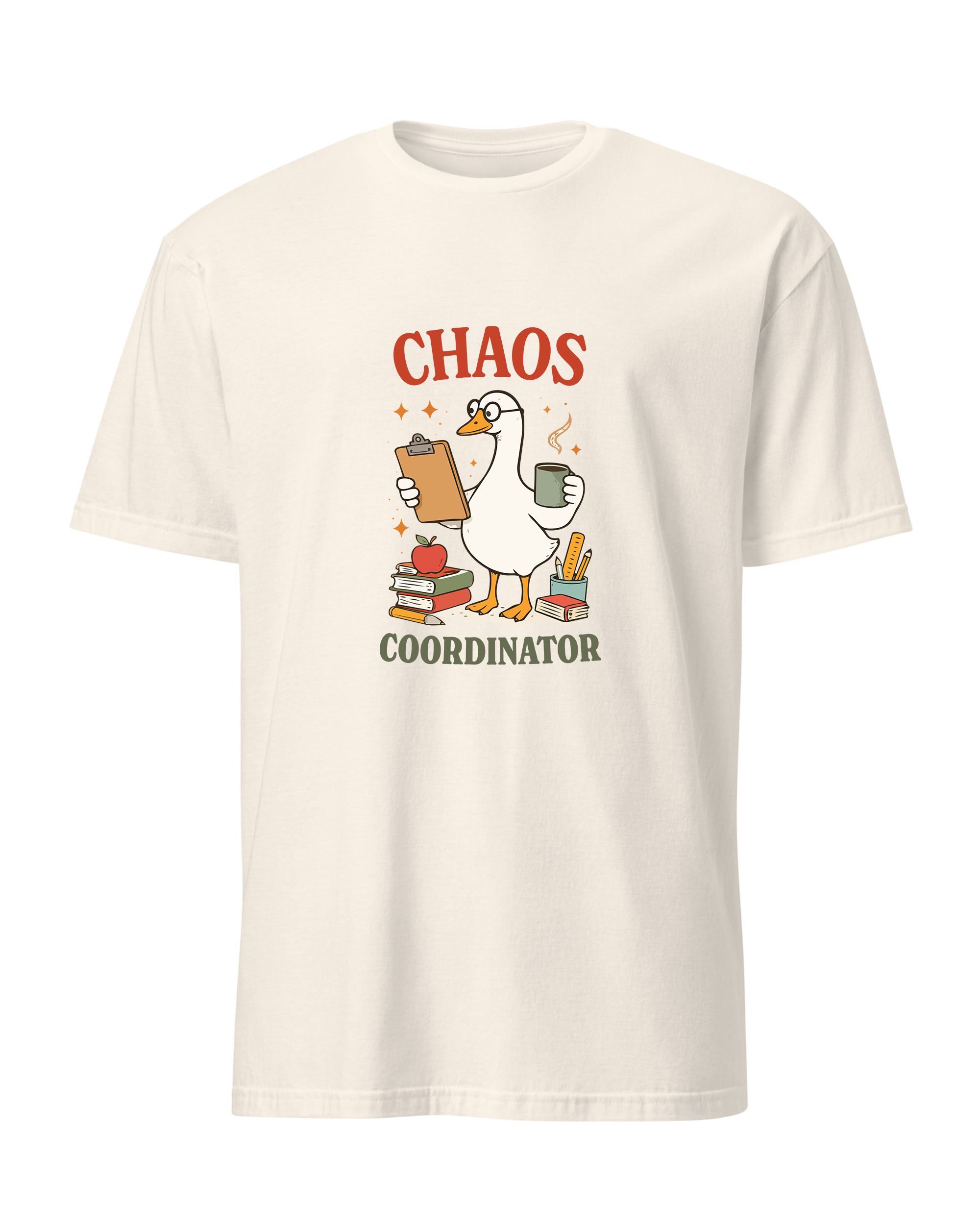 Chaos Coordinator Teacher